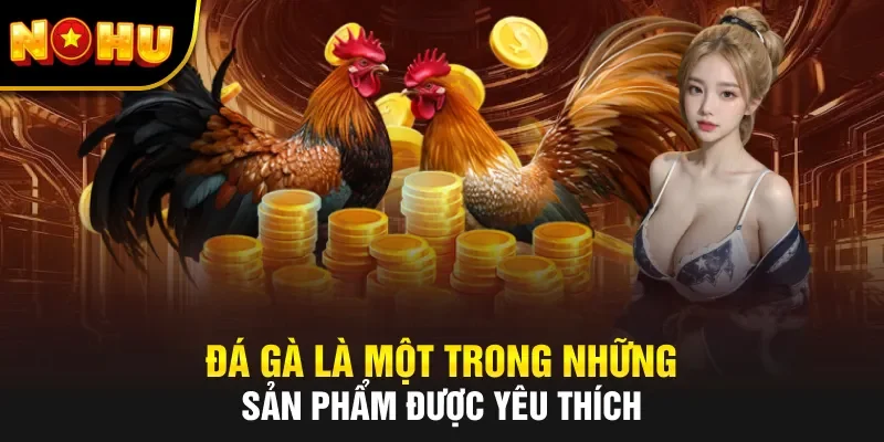Đá gà là một trong những sản phẩm được yêu thích